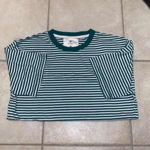 ZINE (Zumiez Skate) Green and White Stripped Tee L